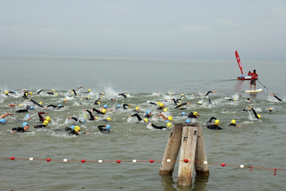 TYR ou Orca : quel équipement pour triathlon et natation